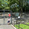 NYC Playgrounds Will Reopen Monday With "Social Distancing Ambassadors"